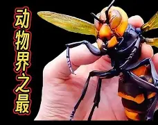英雄联盟官网-关于晢檜2廮膪床GQ??t怪蔘D鄵c槀?鶤囿骡,櫴B]F